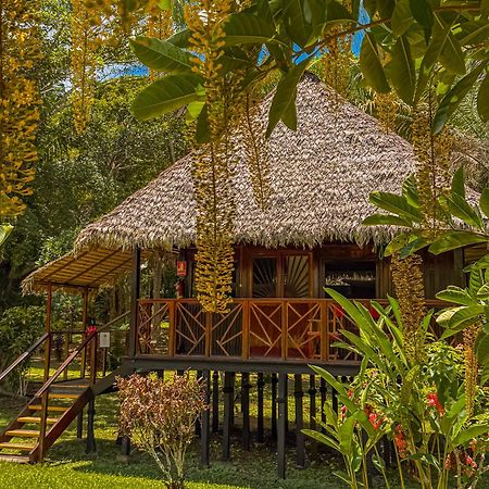 Corto Maltes Amazonia Lodge Puerto Maldonado Eksteriør bilde