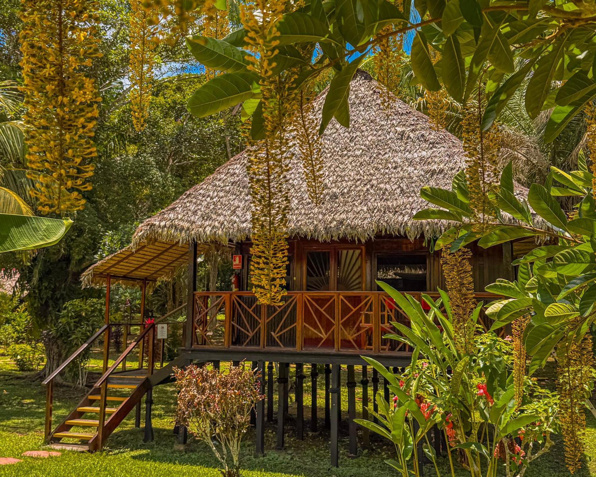 Corto Maltes Amazonia Lodge Puerto Maldonado Eksteriør bilde