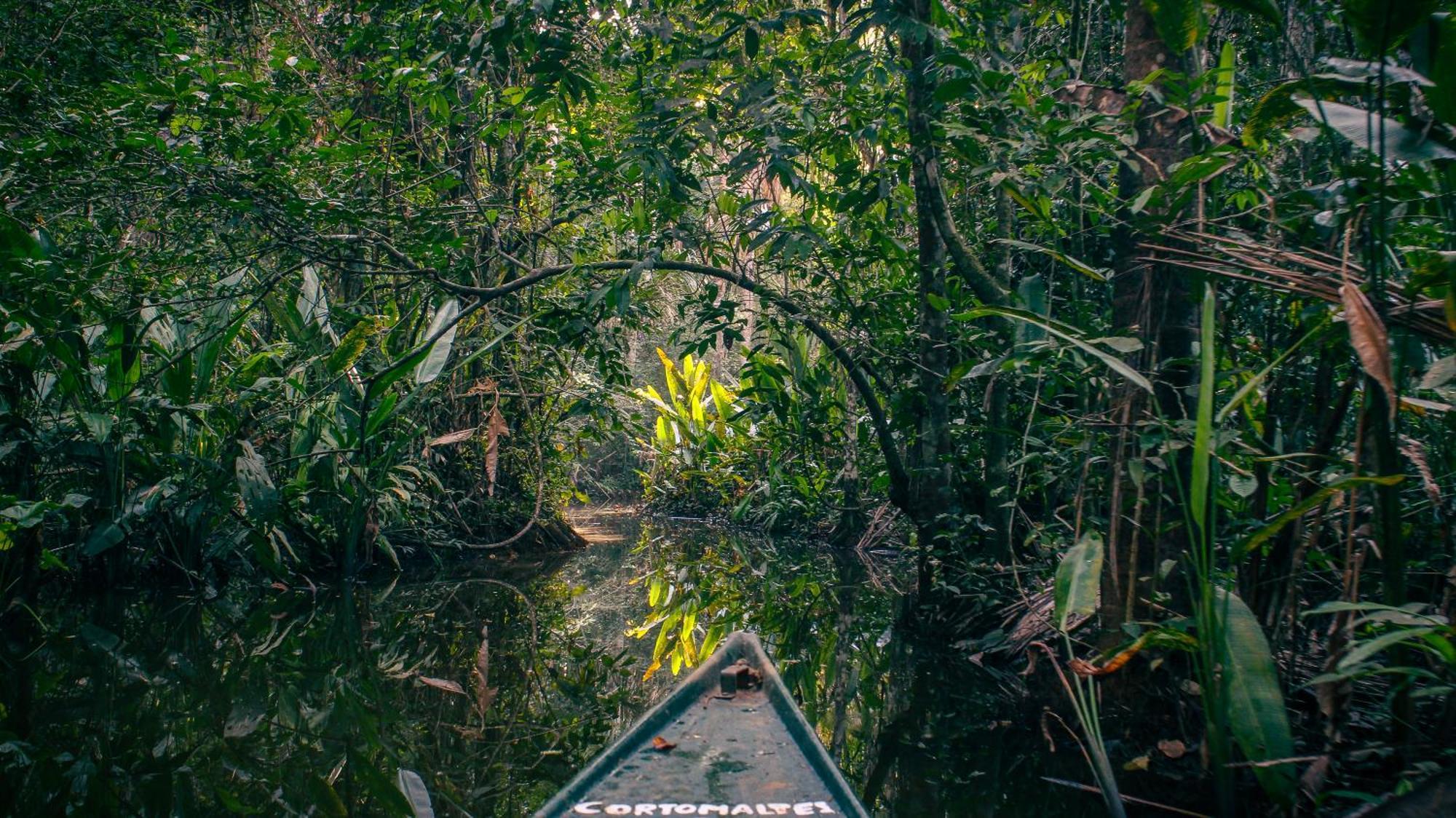 Corto Maltes Amazonia Lodge Puerto Maldonado Eksteriør bilde