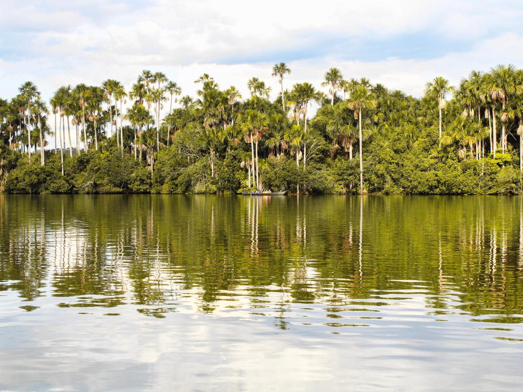 Corto Maltes Amazonia Lodge Puerto Maldonado Eksteriør bilde