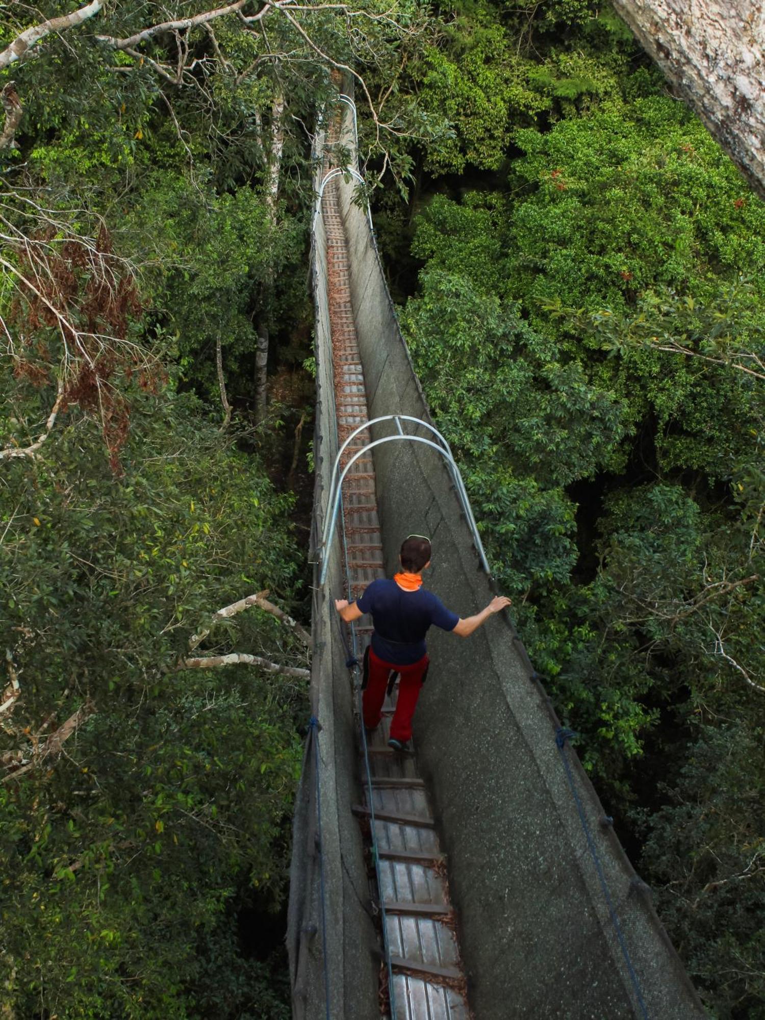 Corto Maltes Amazonia Lodge Puerto Maldonado Eksteriør bilde
