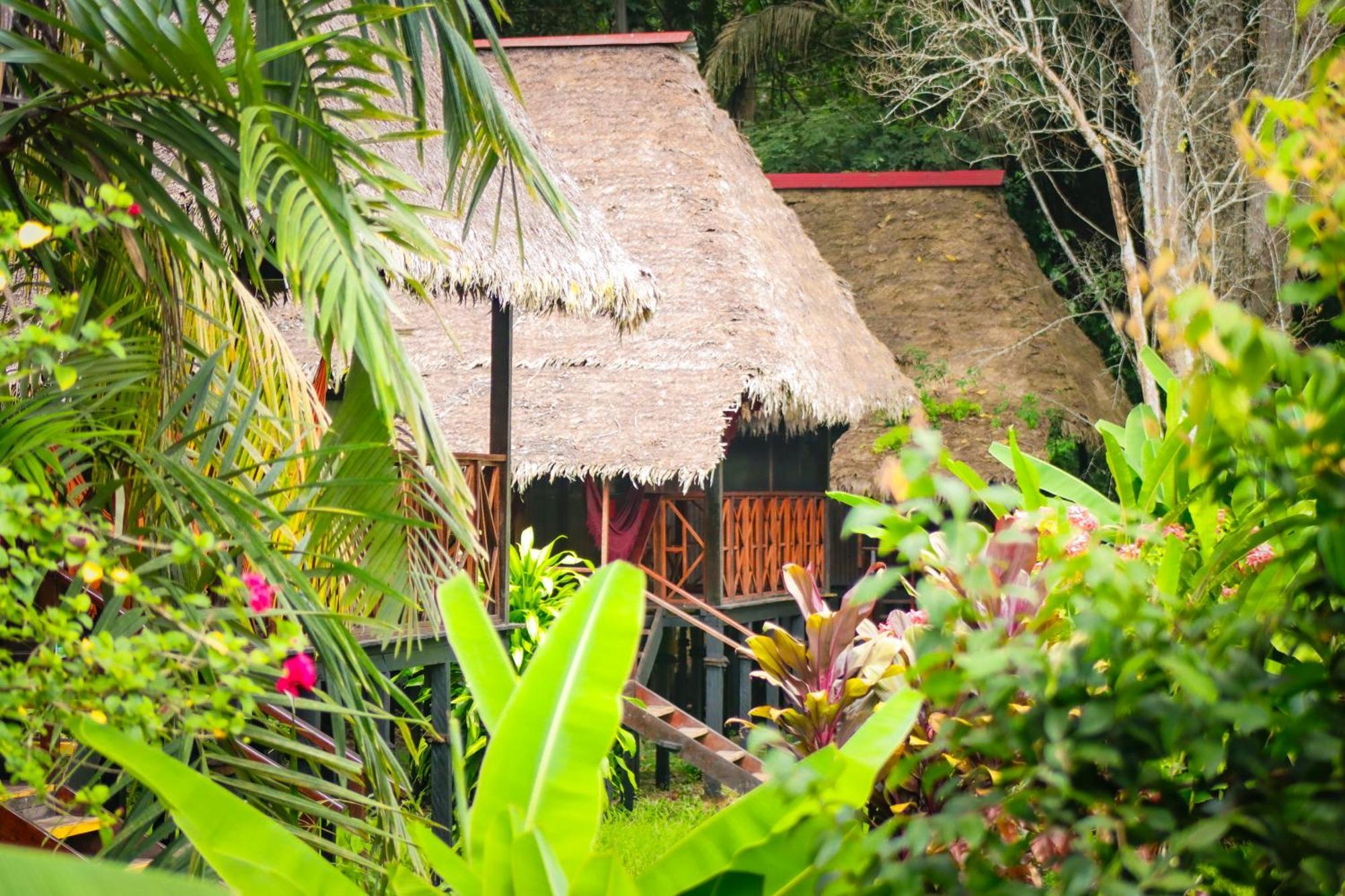 Corto Maltes Amazonia Lodge Puerto Maldonado Eksteriør bilde