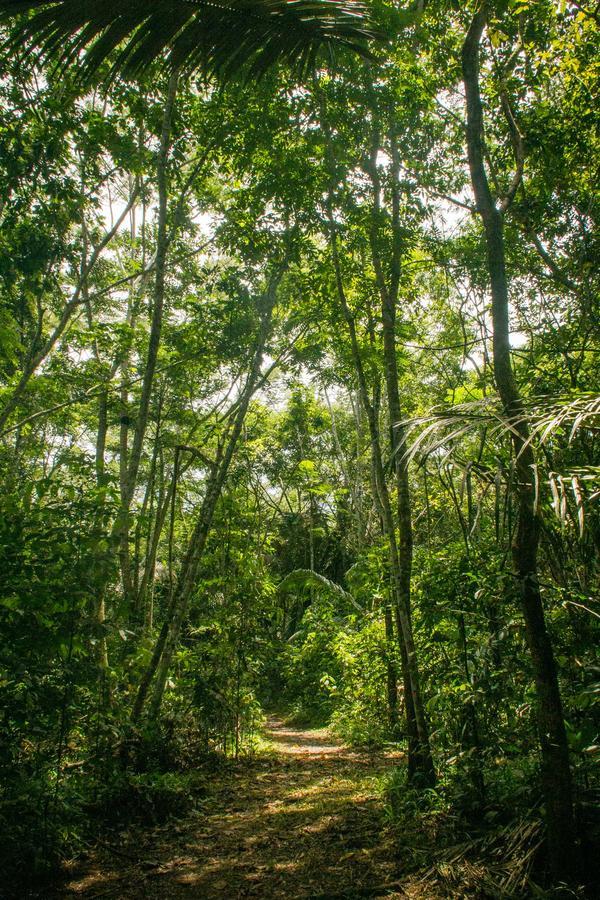 Corto Maltes Amazonia Lodge Puerto Maldonado Eksteriør bilde
